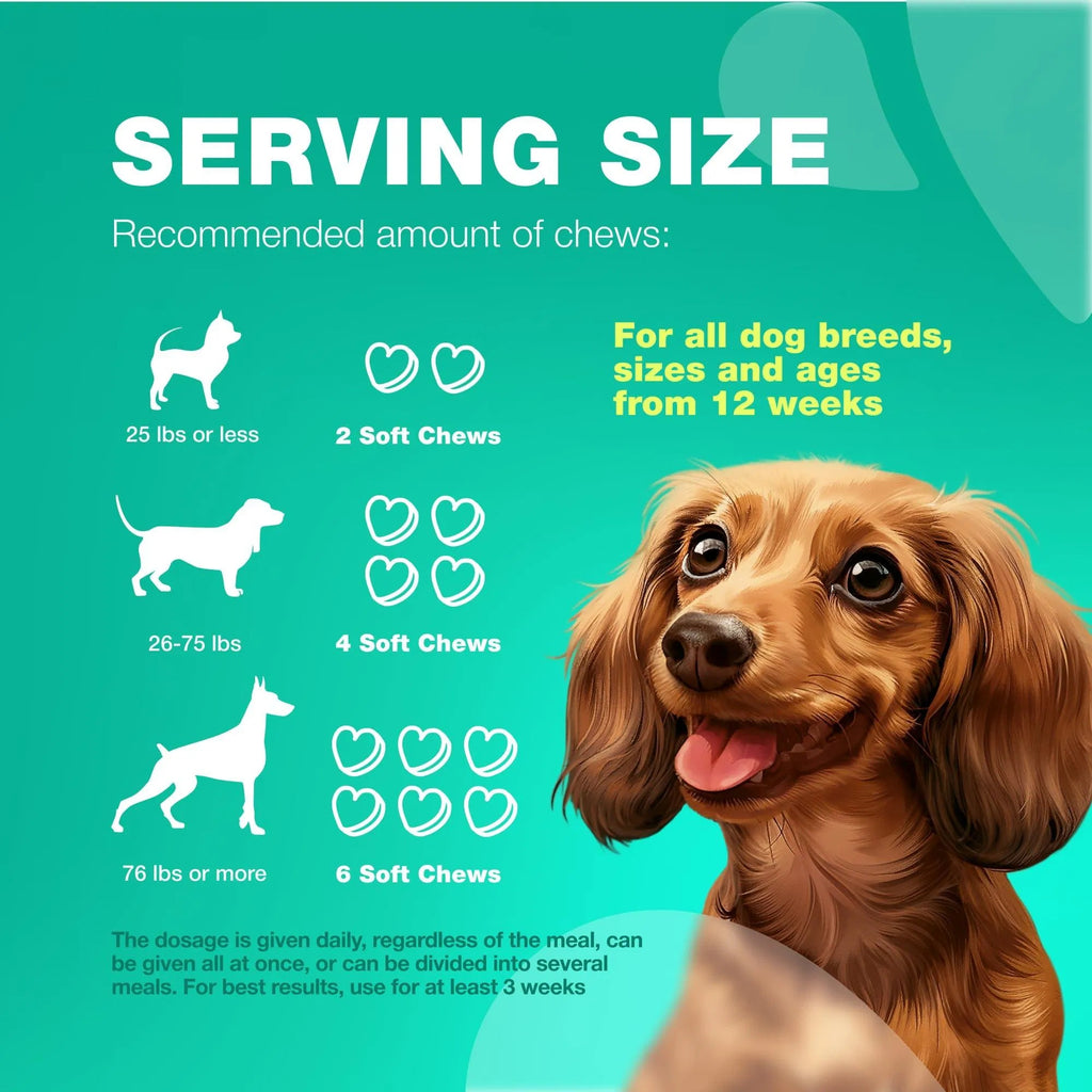 Probiotics for Dogs 180 Chews Support Digestion Immunity and Skin Health